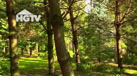 20230718_HGTV_MWO_Rosliny
