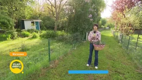 DD_20240504_Pogoda_REP