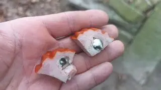 Kawałki wędliny z pinezkami