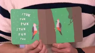 Picture booki dla dzieci, czyli książki pełne obrazków