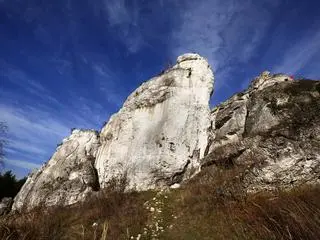 Szlak Orlich Gniazd