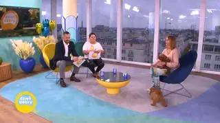 Jak rozumieć psie lizanie?