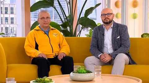 Szerszeń żółtonogi azjatycki. Co to za owad? Czy może być niebezpieczny? 