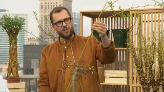 Wiosenny poradnik ogrodowy Łukasza Skopa