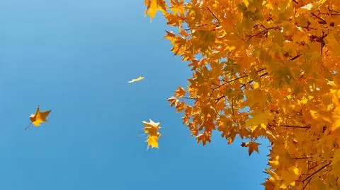 Pogoda na czwartek. Miejscami możliwe burze z gradem