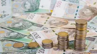 Ponad 250 tysięcy Polaków ma długi alimentacyjne