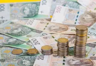 Ponad 250 tysięcy Polaków ma długi alimentacyjne