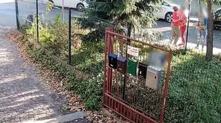 Żyją w strachu przed sąsiadami. "Policja powiedziała, że tak, że mogę ci przy…"