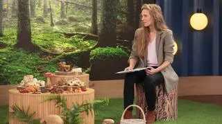 Grzyby, które można zbierać w mroźne dni. Ekspert przedstawił "zimową trójcę"