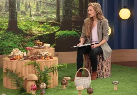 Grzyby, które można zbierać w mroźne dni. Ekspert przedstawił "zimową trójcę"