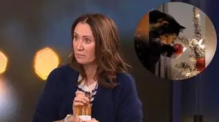 Jak zabezpieczyć choinkę przed zwierzętami?  