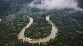 Amazonka - ciekawostki o jednej z najdłuższych rzek świata