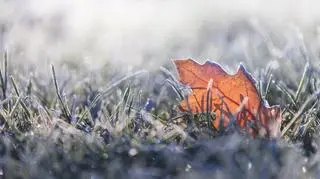 Pogoda na środę, 27 grudnia. Jaka będzie jutro pogoda?