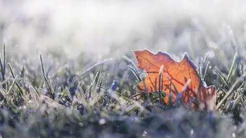 Prognoza pogody na środę. Miejscami opady deszczu, w górach zawieje śnieżne