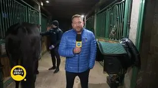 Konie na służbie w policji 