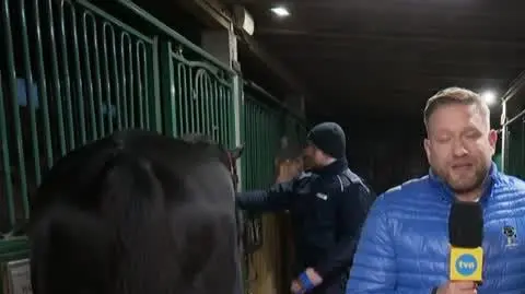 Konie na służbie w policji 