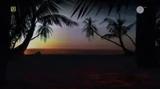 Przed nami 7. edycja "Hotelu Paradise"