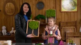 Chrobotek reniferowy: piękny i praktyczny