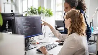 Jak znaleźć pracę jako deweloper stron internetowych? Na czym polega ten zawód?