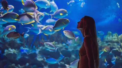 Hydropolis - niezwykłe muzeum wody we Wrocławiu