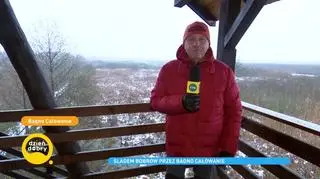 Śladem bobrów przez Bagno Całowanie 