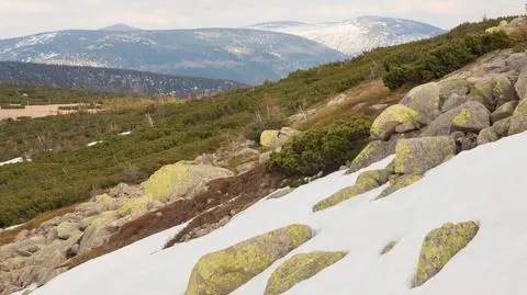 Zmiany dla turystów. Część górskich szlaków zostanie zamknięta
