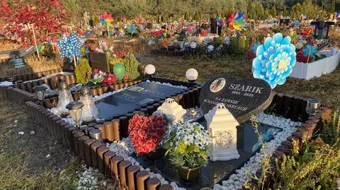 Wyjątkowy cmentarz dla zwierząt