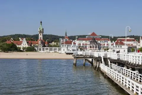 Morze Bałtyckie zanieczyszczone. Foki i morświny mogły stracić słuch