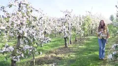 Jaka będzie dziś pogoda? 