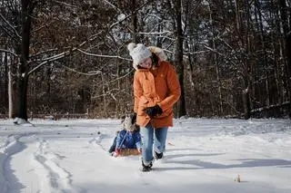 Sanki w mieście