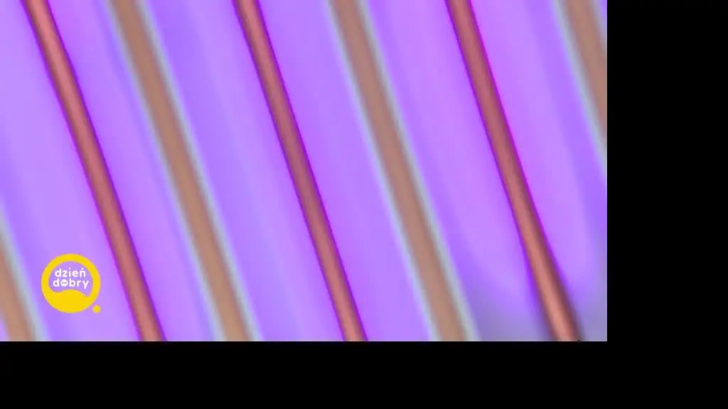 DD_20240425_Wystep_REP