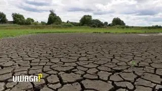 Brakuje wody w kranach, wysychają nawet jeziora. "Każdego roku mamy temperaturę wyższą od średniej"
