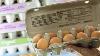 Zapłacimy więcej za jajka? 