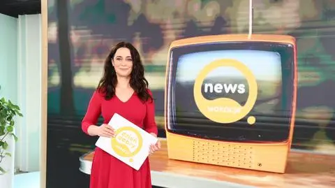 Ustawa o związkach partnerskich - weto prezydenta