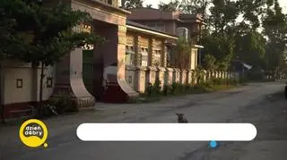 Dzieci świata - rzeczywistość w buddyjskich klasztorach 