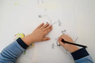 Jak narysować papugę?