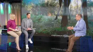 Jak wyglądają jesienne zaloty łosi? "W zaślepieniu godowym potrafią zaatakować samochód"