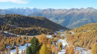 Dlaczego Val di Sole to dobry wybór na narty?
