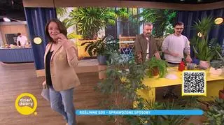 Co oznaczają emotki?