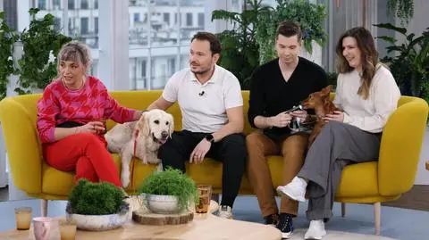 Tola, Chałka, Katarzyna Sąsiadek, Marcin Kwaśniak, Radosław Tylman, Karolina Szynaka-Tylman