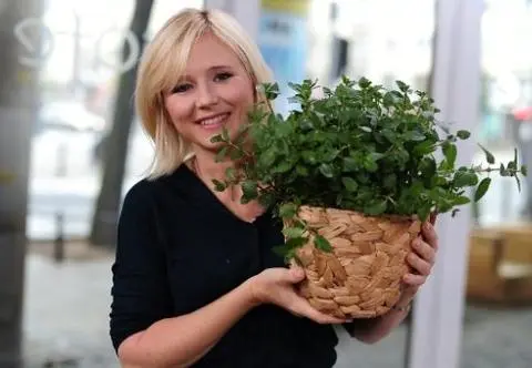 Najpiękniejsze kwietniki na balkon i do domu. Czat z Mają Popielarską