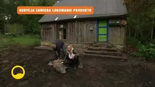 Marcin Kostrzyński opiekuje się młodymi dzikami. "Muszę z nimi mieszkać, nie mam innego wyjścia"