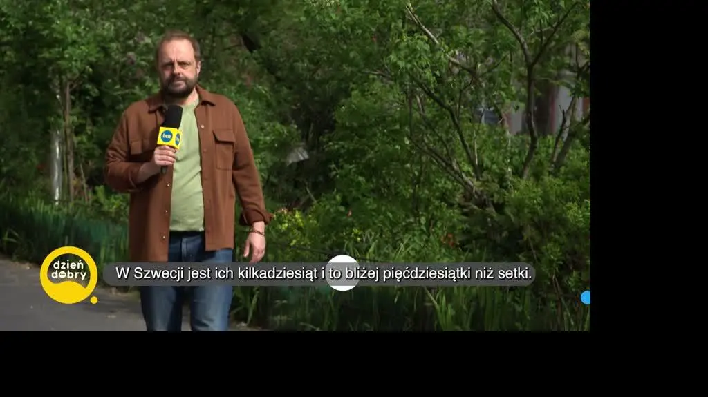 DD_20240415_Alko_rep_REP_napisy