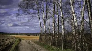 Prognoza pogody na niedzielę, 3 marca 2024.