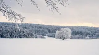 Jaka pogoda będzie 8 grudnia?