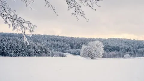 Jaka pogoda będzie 8 grudnia?