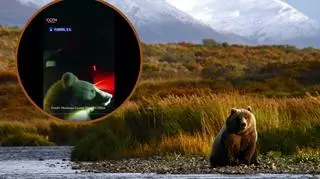 Dwa młode niedźwiedzie błąkały się przy drodze. Na nagraniu widać, jak "wspinały się na samochód"