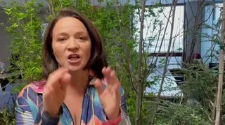 Ewa Drzyzga namawia do akcji Wielka wymiana zabawek