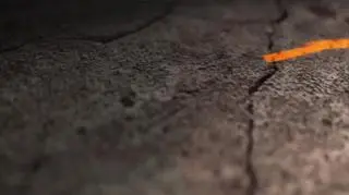 Uwaga! TVN. Matka patostreamera sprzedaje śmiertelnie chore psy?