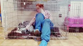 Czym jest babeszjoza i jak jej zapobiegać?